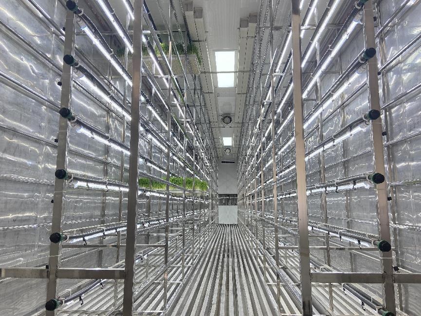 水培牧草——水培牧草集裝箱