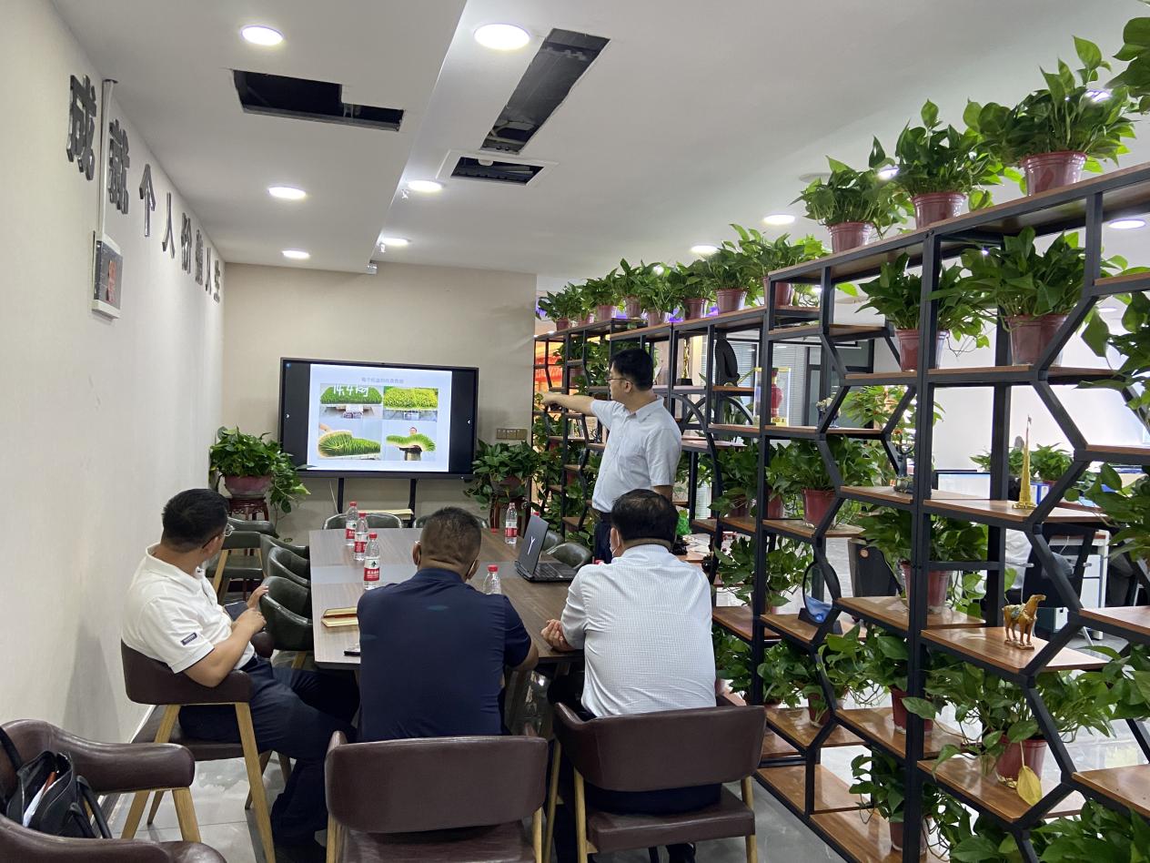 額副市長(zhǎng)等人了解水培牧草項(xiàng)目詳細(xì)資料