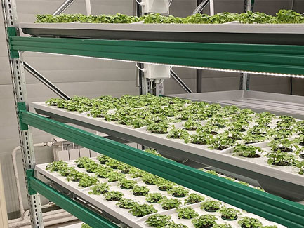 英國室內(nèi)植物工廠